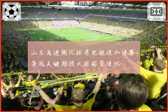 山东高速陶汉林恶犯被追加停赛,争冠关键期损大将前景堪忧