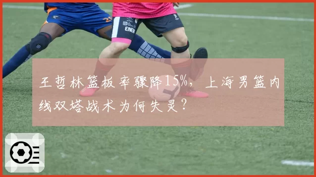 王哲林篮板率骤降15%，上海男篮内线双塔战术为何失灵？